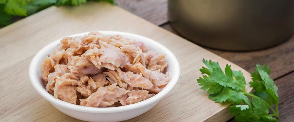 همه چیز درباره کنسرو تن ماهی