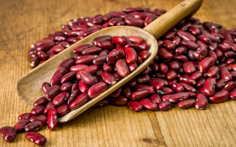 خواص لوبیا قرمز